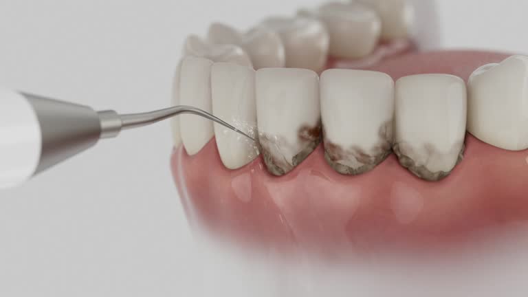 Reliable Dental contractor in Seven Lakes, NC by Dentist Open Now